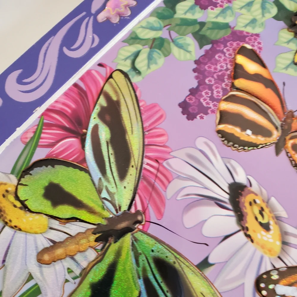 Cute Butterfly Bundle